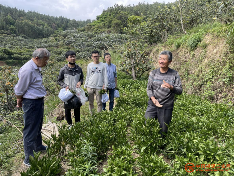 稿8：莆田仙游：“123”模式，打造“书峰”福地1506.png