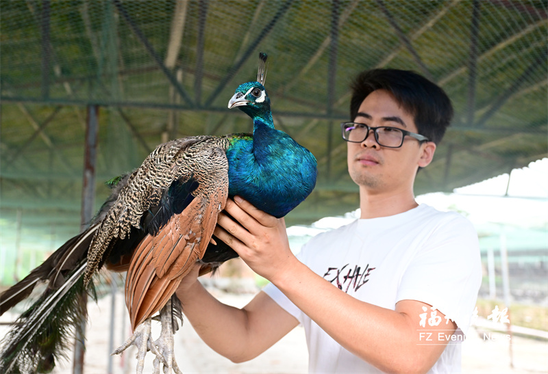 闽侯石坑村“：空心村”蝶变网红村