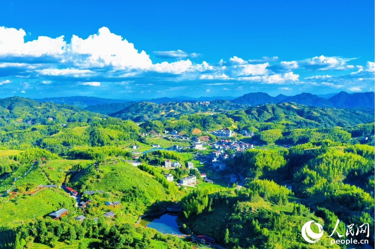 依托丰富的自然资源，大田县大力发展茶旅特色产业。人民网 李唯一摄